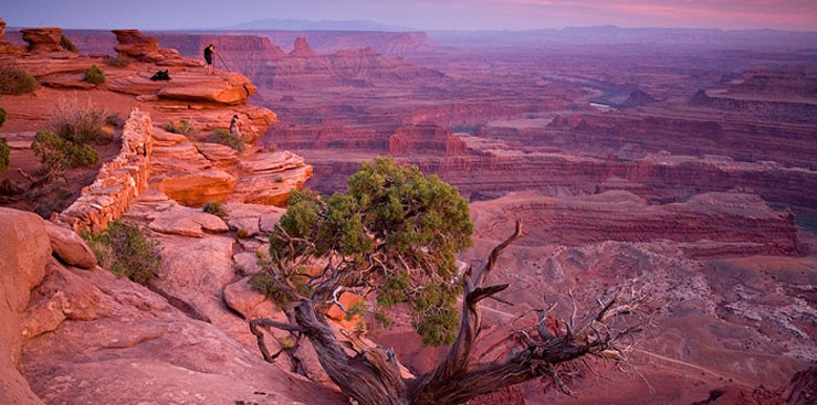 Utah-US191-Colored-Landscape-Tree-739x367